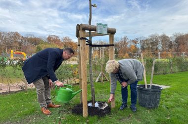 Baumpatenschaft Bewässerung_SylkeTegtmeierBRF