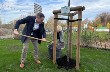 Baumpatenschaft Erde_SylkeTegtmeierBRF