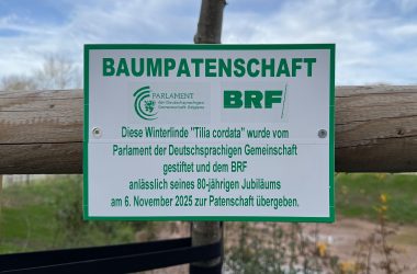 Baumpatenschaft Plakette_SylkeTegtmeierBRF
