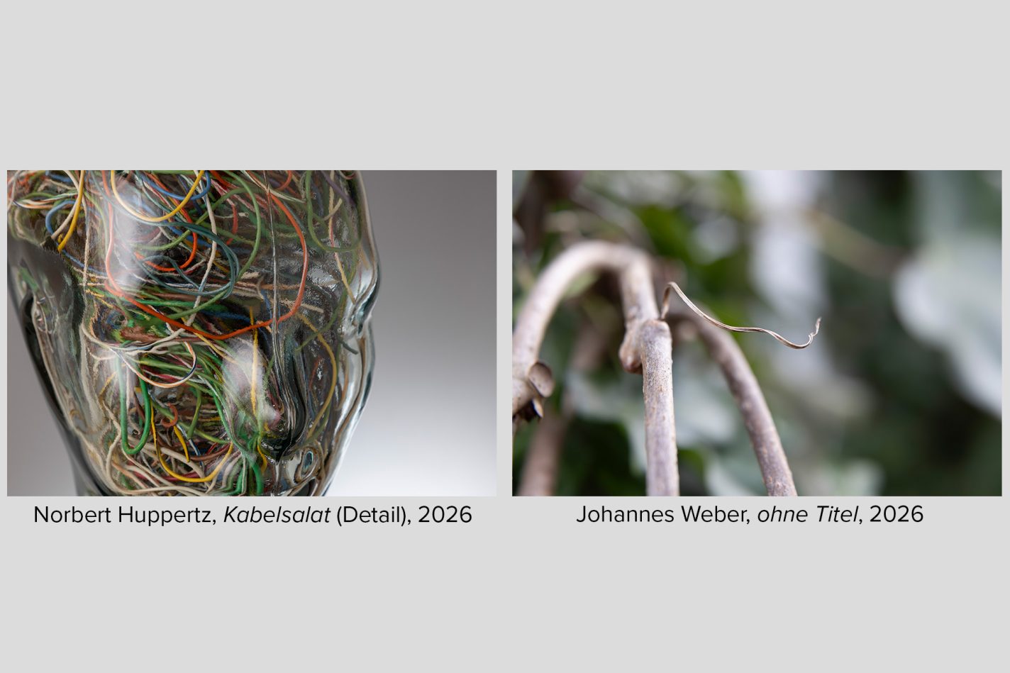 ColladgeBilder Huppertz_Weber